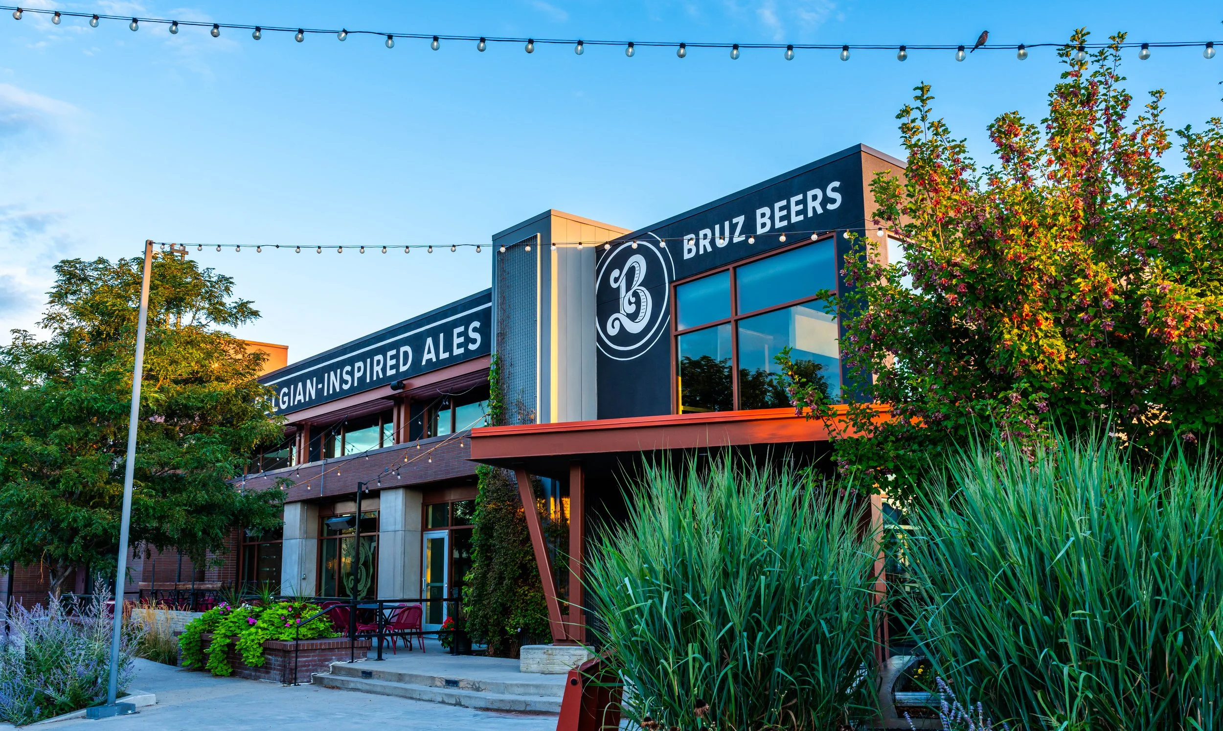 Bruz Beers